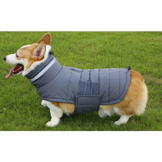 AuraPaw™ - SnowProof Dog Coat - no more freezing walks