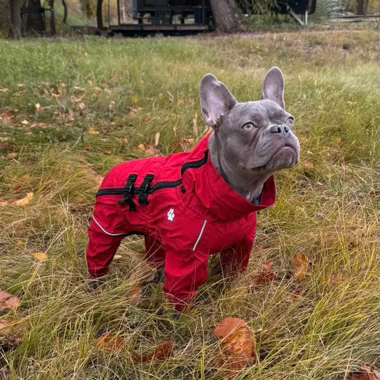 AuraPaw™ - Tracker Waterproof Rain Jacket